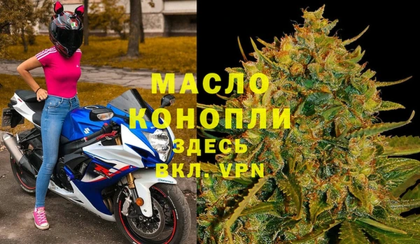 мет Алексин